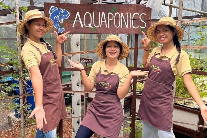 Thai cooking Class Koh Samui Farm Aquaponics