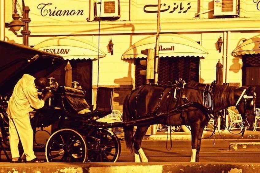 Alexandria Horse Carriage Tour 