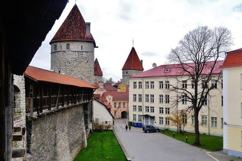 Private Tour: Highlights of Tallinn with Kadriorg and Pirita