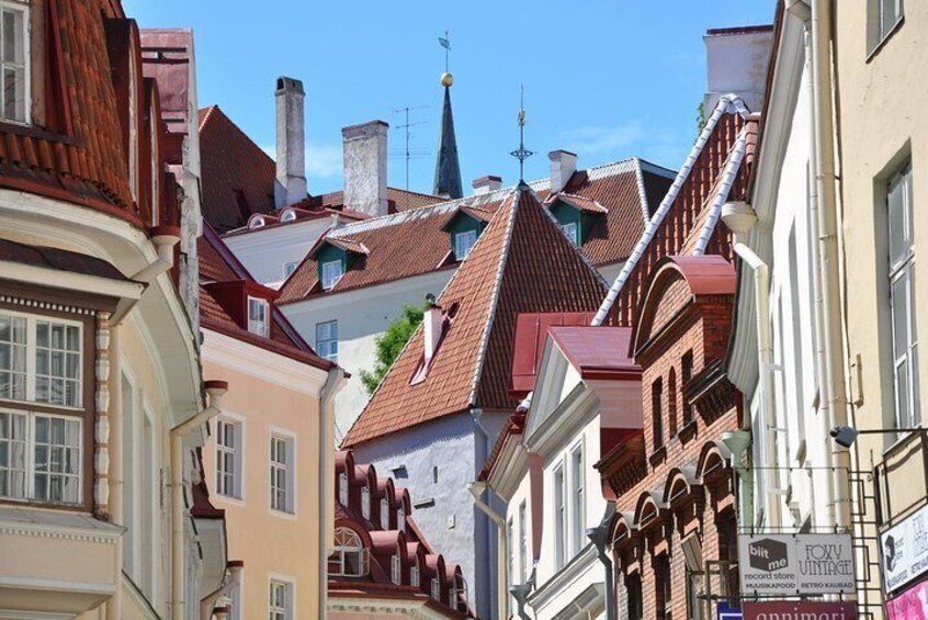 Architectural Walk of Tallinn with a Local