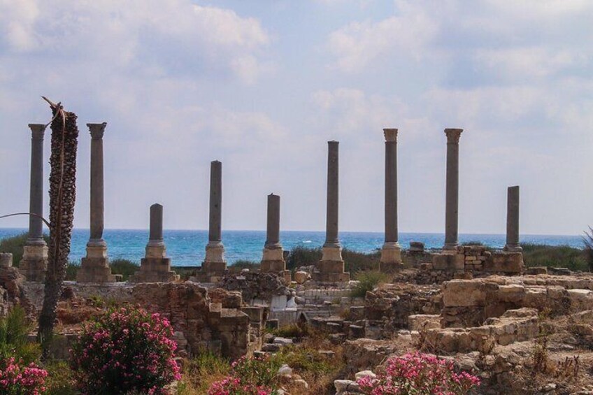 Roman Ruins - Tyre