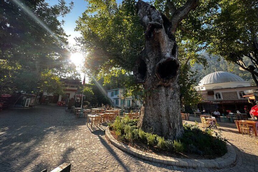 Private Half Day Tour: Explore Hidden Gems of Marmaris