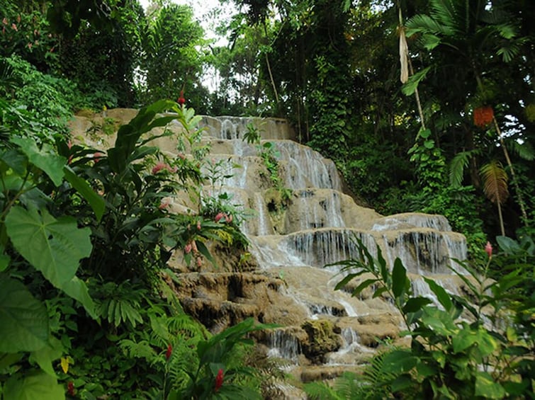 Konoko Falls & Tropical Gardens Adventure