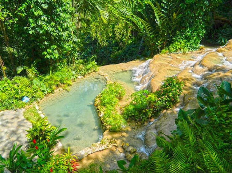 Konoko Falls & Tropical Gardens Adventure