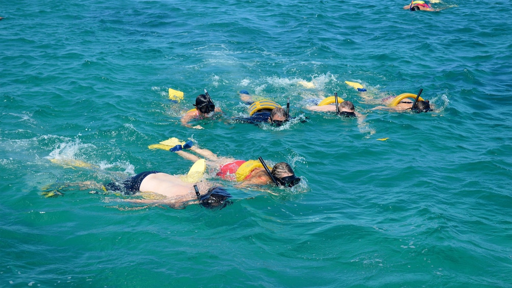 A group of snorkelers in the water near Nevis