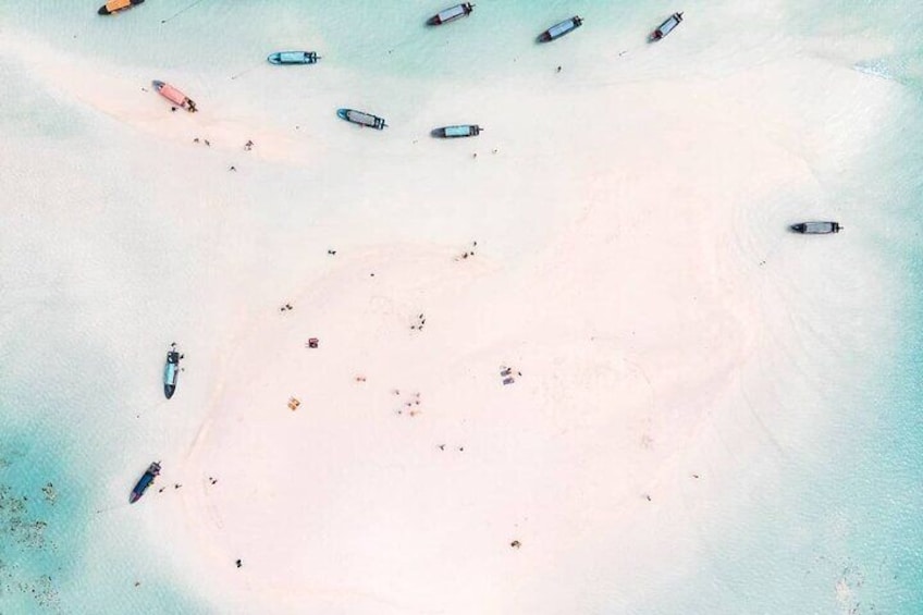 Zanzibar Dolphin Tour, Jozani Forest Tour, Kuza Cave Tour, Paje Beach,The Rock Restaurant