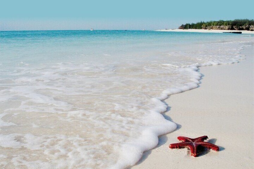 Zanzibar Dolphin Tour, Jozani Forest Tour, Kuza Cave Tour, Paje Beach,The Rock Restaurant