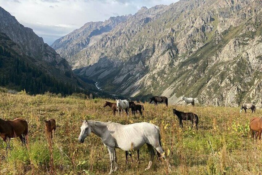 Best of Ala-Archa National Park + Bishkek city tour + dinner with Kyrgyz family