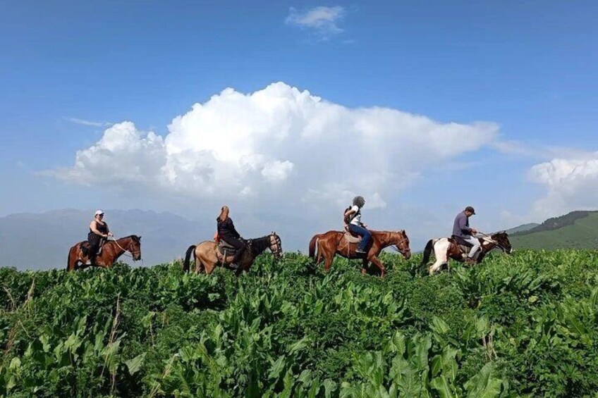 4 Days Issyk Kul Lake to Chon Kemin: Eagle show and Yurt Stay