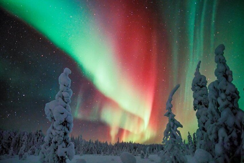 Northern Lights Snowmobile Driving Safari