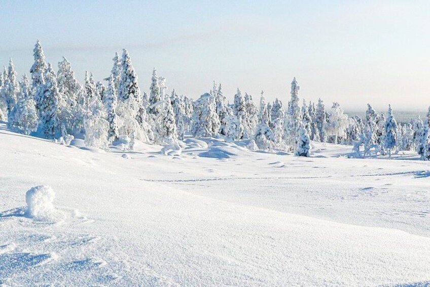 Snowmobile Driving - Afternoon start