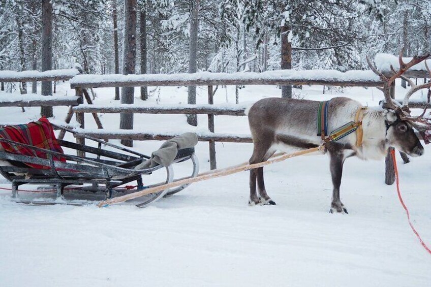Incentive and Corporate adventures in Lapland