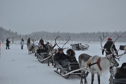 Incentive and Corporate adventures in Lapland