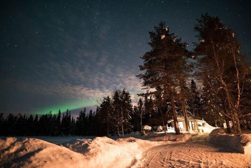 Traditional Lappish evening in the wilderness with dinner