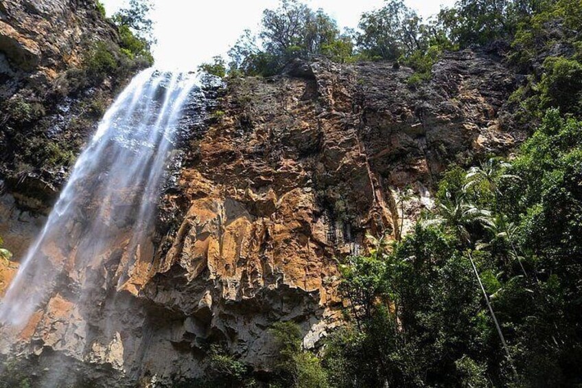 Hlane National park