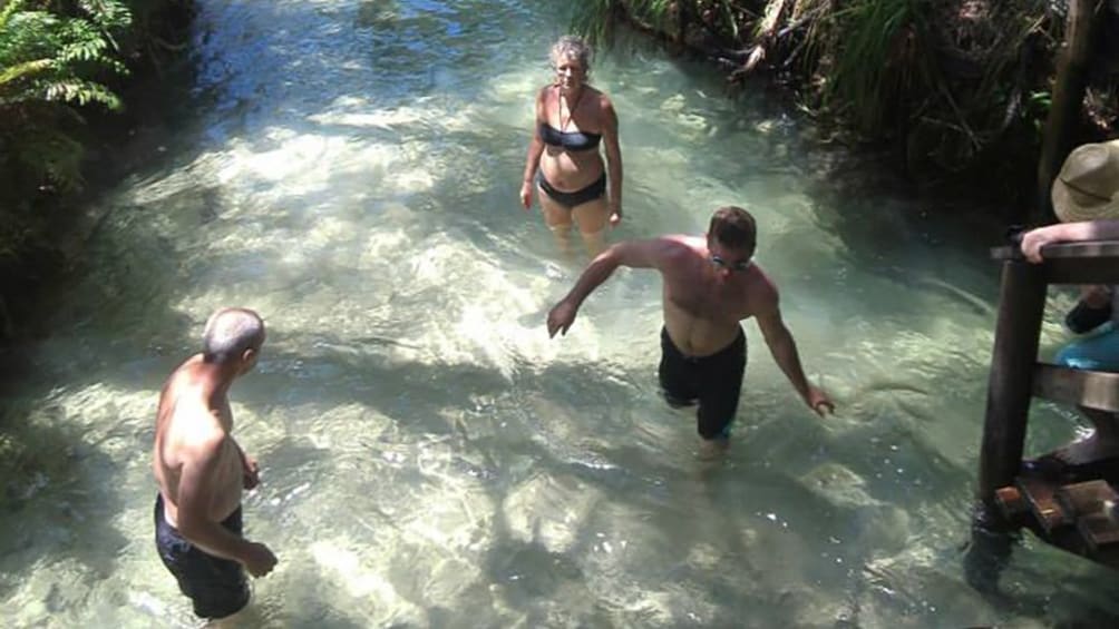 people wading in stream at resort in Fraser Coast