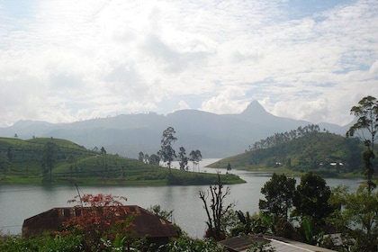 Sri Pada Mountain and Ella Train Journey from Kandy City
