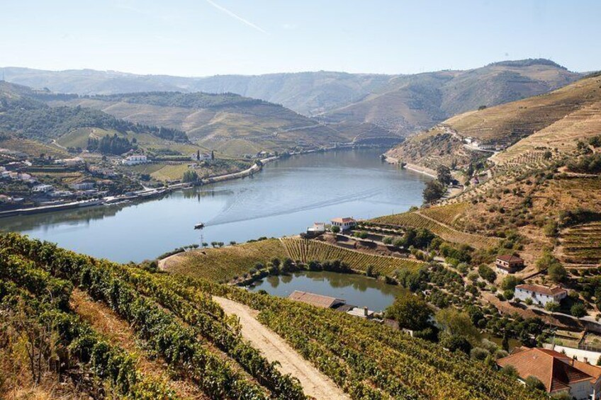 Covelinhas - Douro Valley