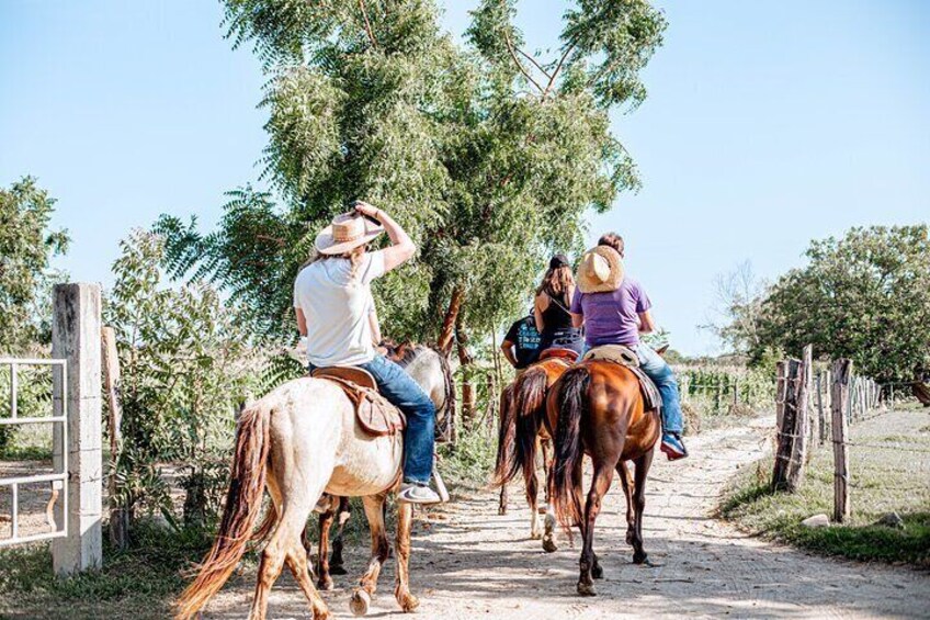 River Trail Horseback Riding Adventure