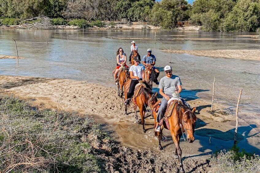 River Trail Horseback Riding Adventure