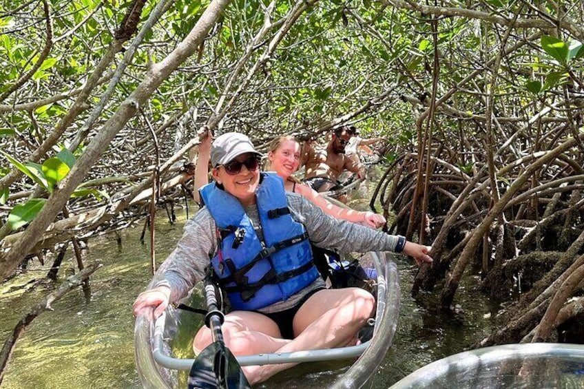 Fun in the mangrove tunnel 