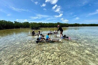 Guided Clear Kayak Eco-Tour Near Key West