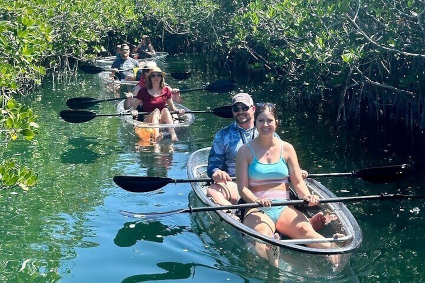 Exploring the mangroves