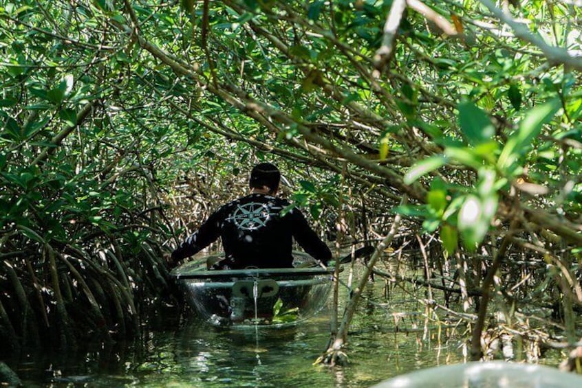 Clear Kayak Tours in Florida Keys