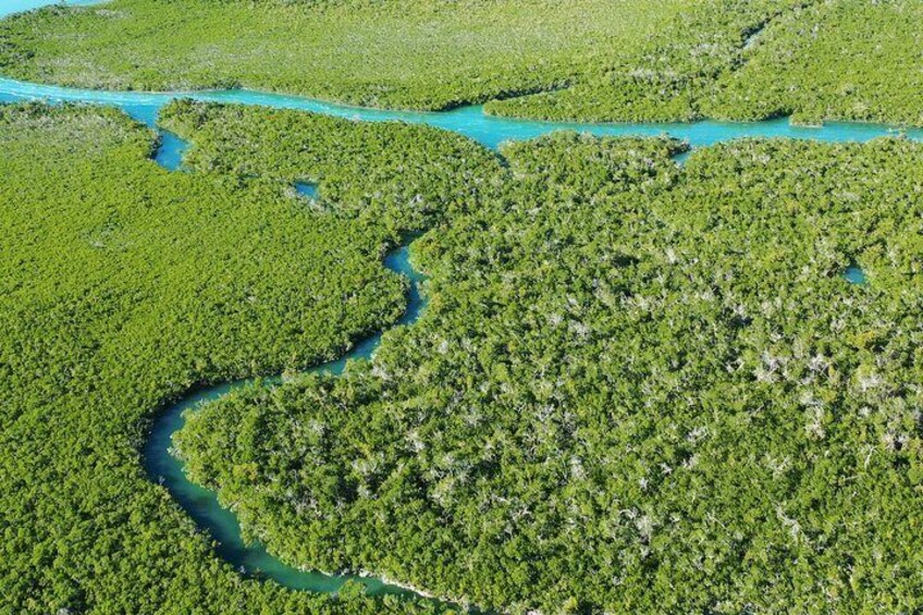 Clear Kayak Tours in Florida Keys