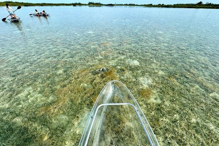 Enjoying the clear water of the salt flats 