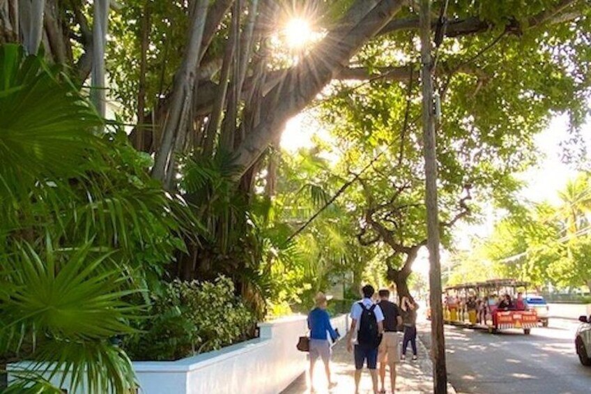 Key West History And Culture Walking Tour