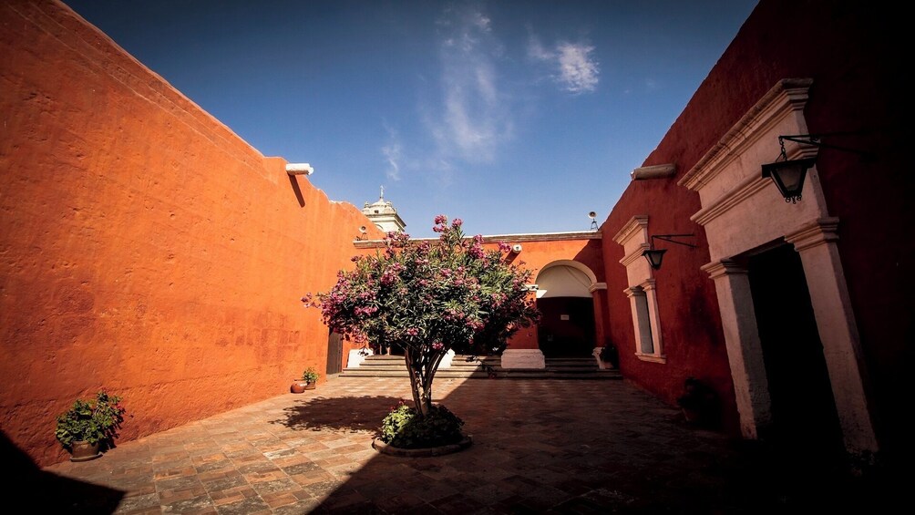 Arequipa Walking Tour and Santa Catalina Monastery