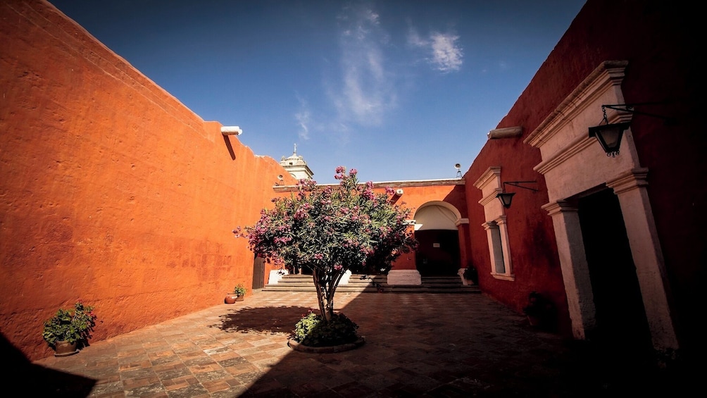 Arequipa Walking Tour and Santa Catalina Monastery
