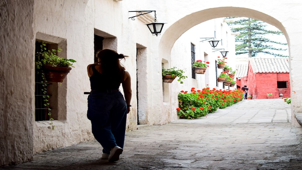 Arequipa Walking Tour and Santa Catalina Monastery