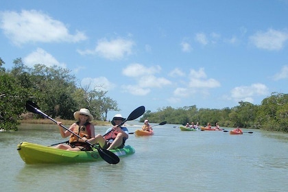 Tour ecológico en kayak guiado - Playa Bunche