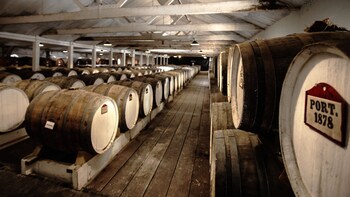 Centenary Wine Tour of Seppeltsfield Winery