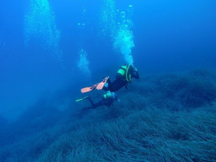 Discovering Diving in Alcudia