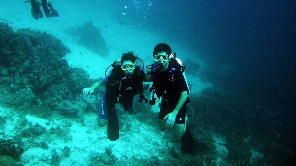 Couple Diving in Alcudia