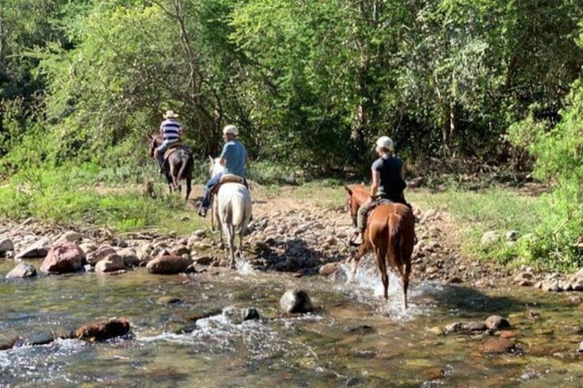 Jungle HorseBack Adventure to Las Palmas Waterfall All Included 