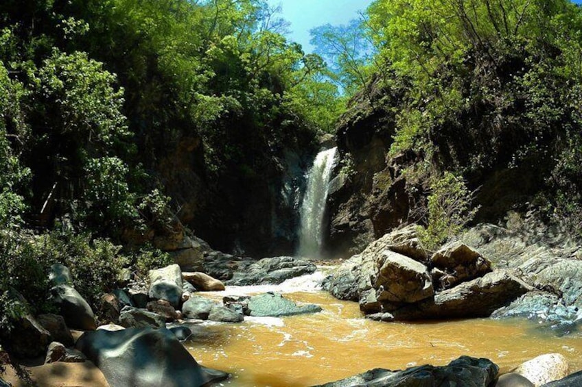 Jungle HorseBack Adventure to Las Palmas Waterfall All Included