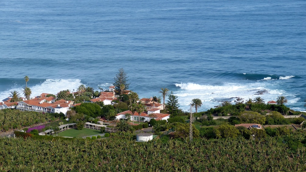 Homes near the water in Tenerife