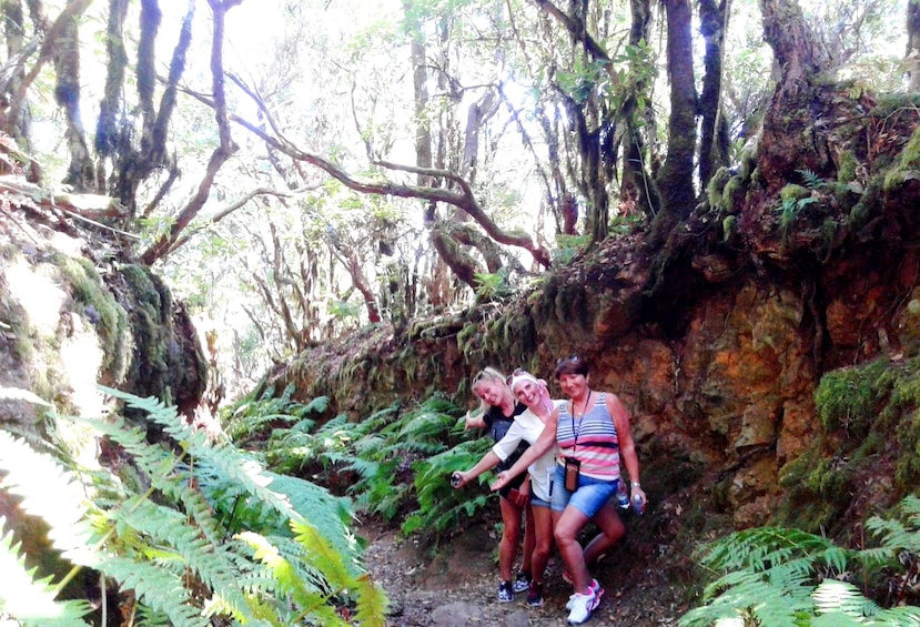 Foto 5 van 7. Laurisilva Forest & Anaga Rural Park Day Tour