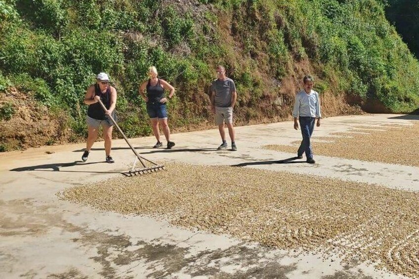 Coffee Plantation Experience