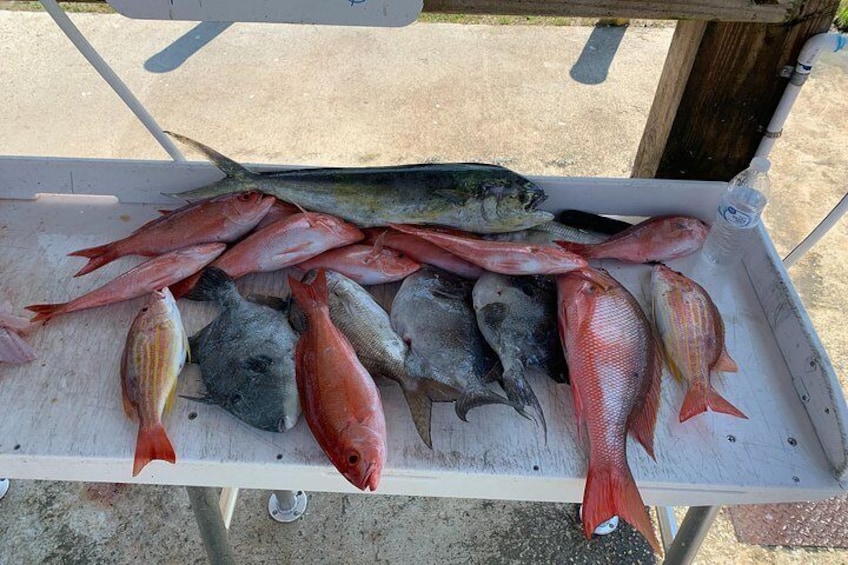 Bottom fishing. Snappers, mahi, triggers