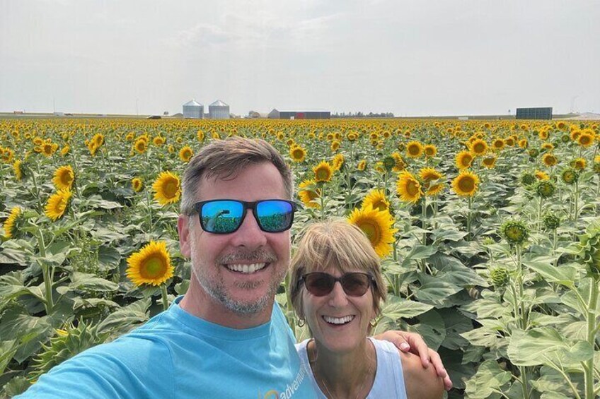 Sunflowers in bloom at Wall South Dakota