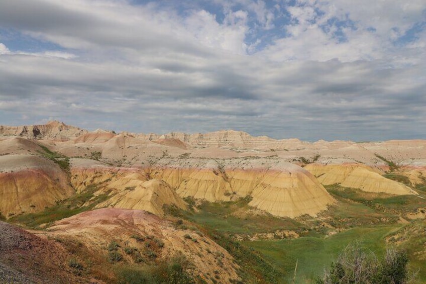 Yellow Mounds Abound!
