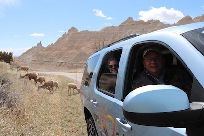 Badlands, Sheep Mountain Table, & Off Road Adventure