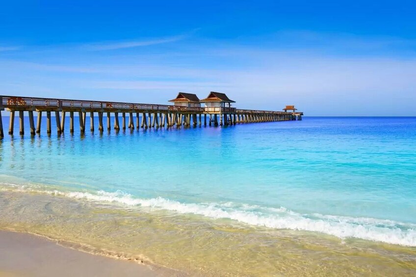 Show item 1 of 5. Naples Scavenger Hunt: Beyond Naples Beach