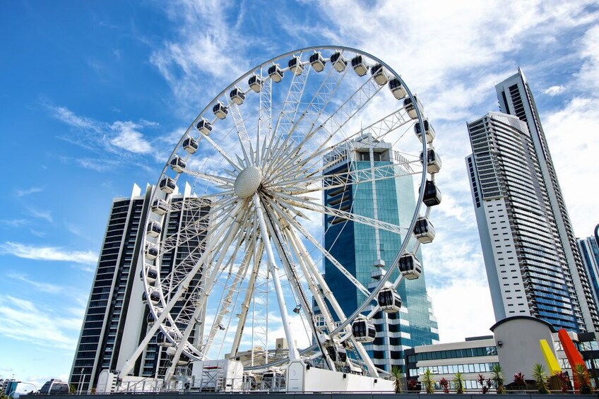 Show item 1 of 5. Gold Coast Scavenger Hunt: Gold Coast Community Charm
