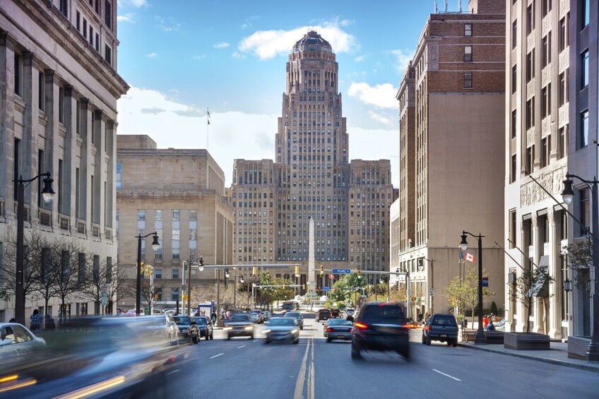 Show item 1 of 5. Buffalo Scavenger Hunt: Roaming Buffalo